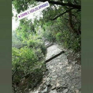 Meet your Posher, Waiz